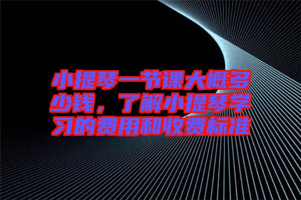 小提琴一節(jié)課大概多少錢，了解小提琴學習的費用和收費標準