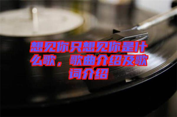 想見(jiàn)你只想見(jiàn)你是什么歌，歌曲介紹及歌詞介紹