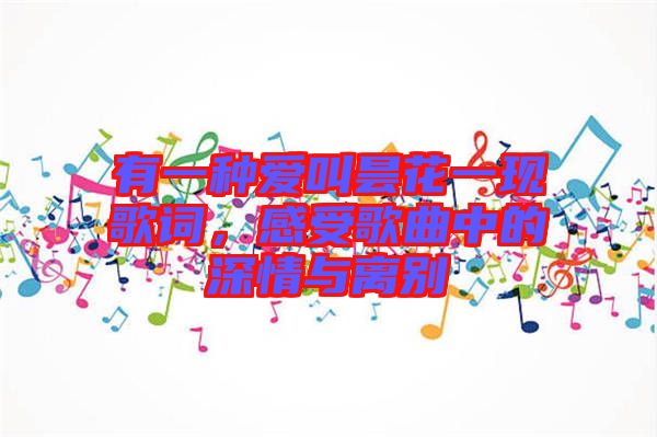 有一種愛叫曇花一現(xiàn)歌詞，感受歌曲中的深情與離別