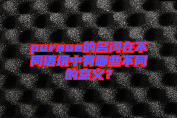 pursue的名詞在不同語境中有哪些不同的意義？