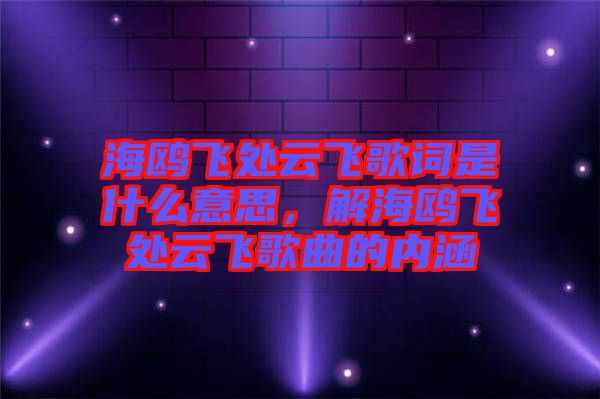 海鷗飛處云飛歌詞是什么意思，解海鷗飛處云飛歌曲的內(nèi)涵