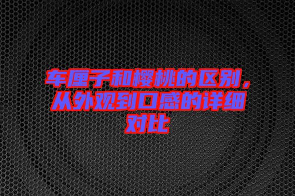 車?yán)遄雍蜋烟业膮^(qū)別，從外觀到口感的詳細(xì)對(duì)比