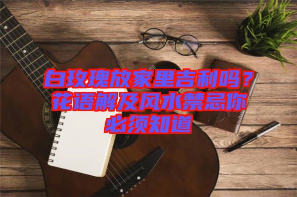 白玫瑰放家里吉利嗎？花語解及風(fēng)水禁忌你必須知道