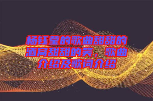 楊鈺瑩的歌曲甜甜的酒窩甜甜的笑，歌曲介紹及歌詞介紹