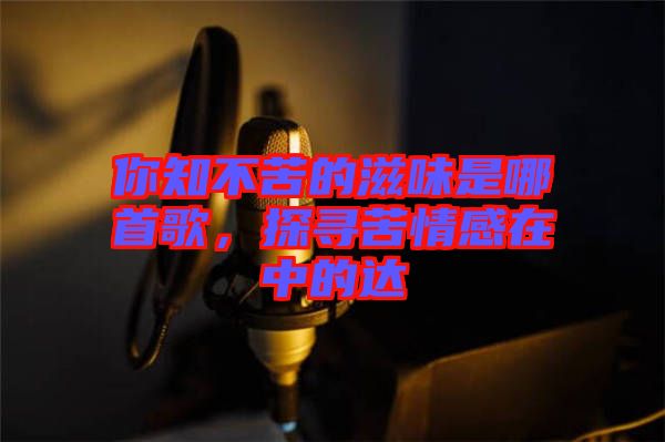 你知不苦的滋味是哪首歌，探尋苦情感在中的達(dá)