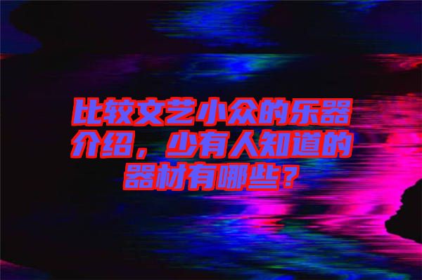 比較文藝小眾的樂(lè)器介紹，少有人知道的器材有哪些？