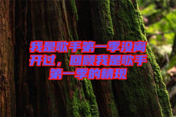 我是歌手第一季沒離開過，回顧我是歌手第一季的精現(xiàn)