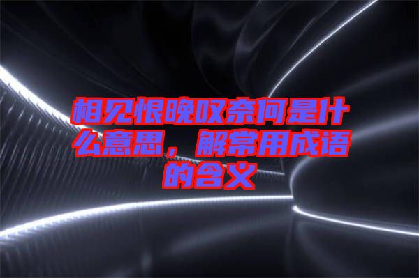 相見恨晚嘆奈何是什么意思，解常用成語的含義