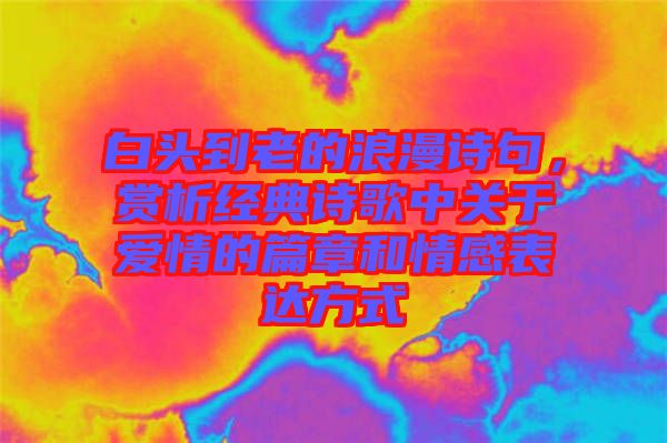 白頭到老的浪漫詩句，賞析經(jīng)典詩歌中關(guān)于愛情的篇章和情感表達方式