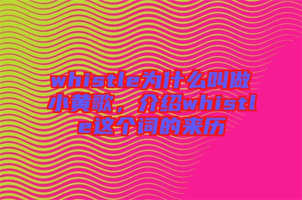 whistle為什么叫做小黃歌，介紹whistle這個詞的來歷