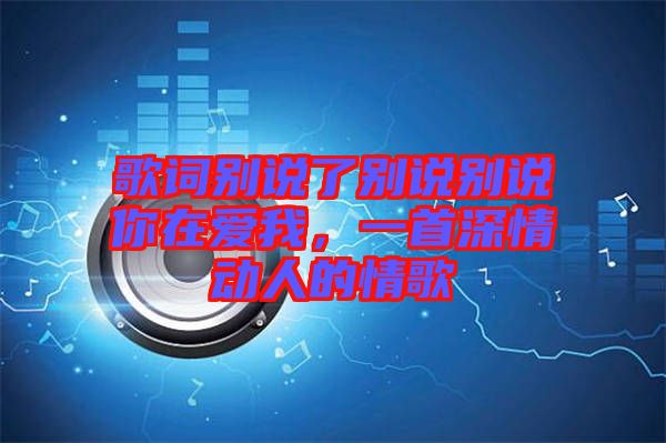 歌詞別說了別說別說你在愛我，一首深情動人的情歌