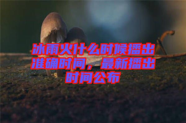 冰雨火什么時(shí)候播出準(zhǔn)確時(shí)間，最新播出時(shí)間公布