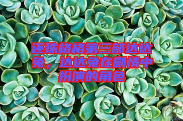 還珠格格第三部達(dá)達(dá)兔，達(dá)達(dá)兔在劇情中扮演的角色