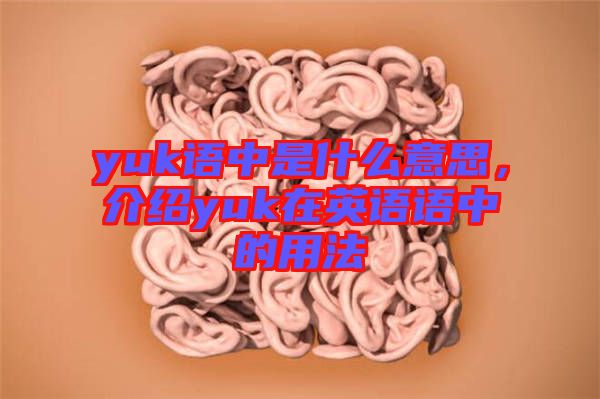 yuk語中是什么意思，介紹yuk在英語語中的用法