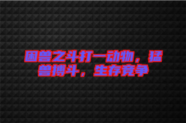 困獸之斗打一動物，猛獸搏斗，生存競爭