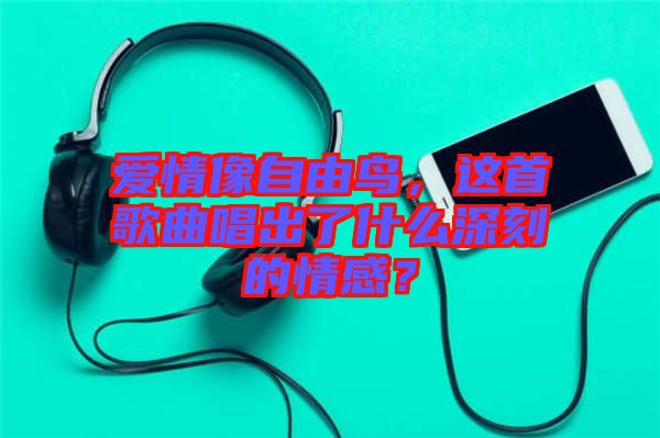 愛情像自由鳥，這首歌曲唱出了什么深刻的情感？