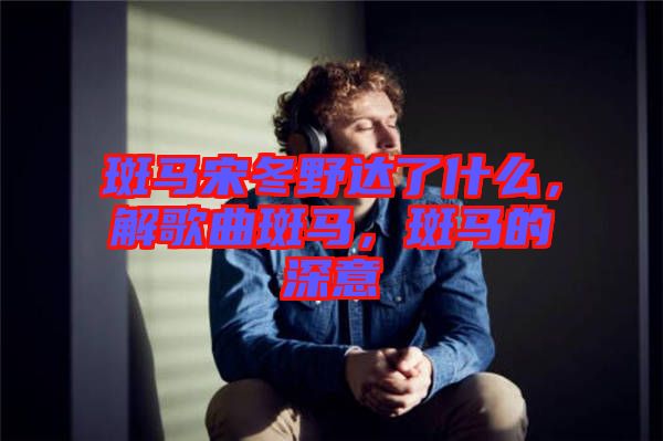 斑馬宋冬野達(dá)了什么，解歌曲斑馬，斑馬的深意