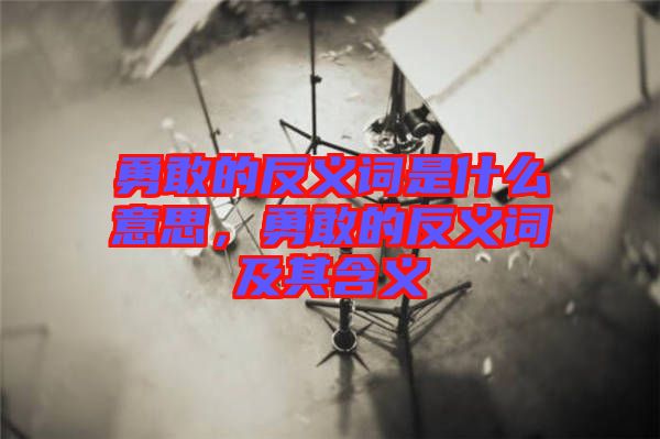 勇敢的反義詞是什么意思，勇敢的反義詞及其含義