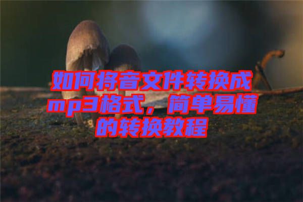 如何將音文件轉(zhuǎn)換成mp3格式，簡(jiǎn)單易懂的轉(zhuǎn)換教程