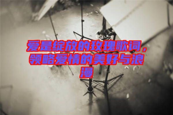 愛是綻放的玫瑰歌詞，領(lǐng)略愛情的美好與浪漫