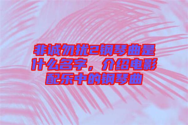 非誠(chéng)勿擾2鋼琴曲是什么名字，介紹電影配樂(lè)中的鋼琴曲