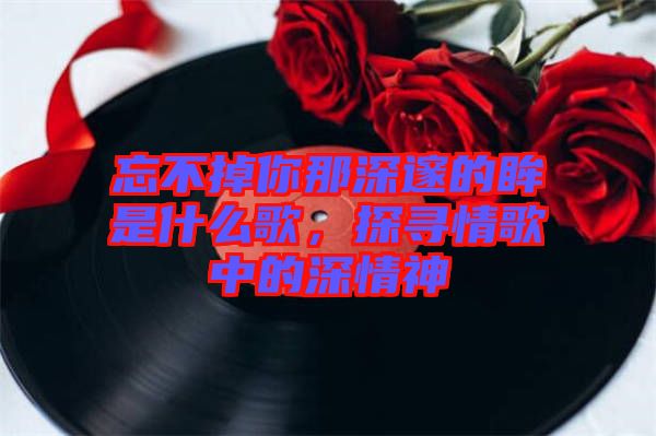 忘不掉你那深邃的眸是什么歌，探尋情歌中的深情神