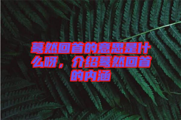 驀然回首的意思是什么呀，介紹驀然回首的內(nèi)涵