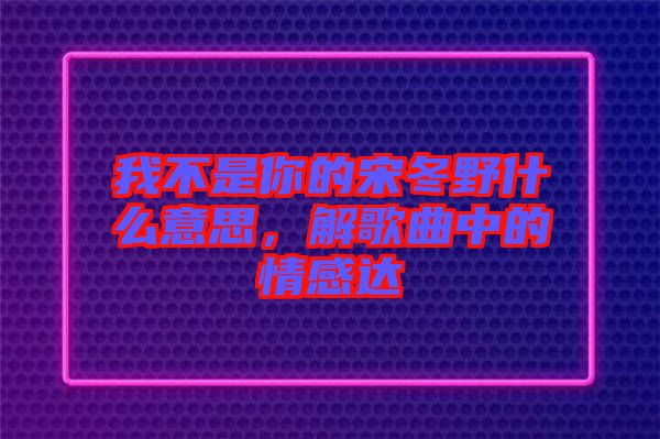 我不是你的宋冬野什么意思，解歌曲中的情感達(dá)