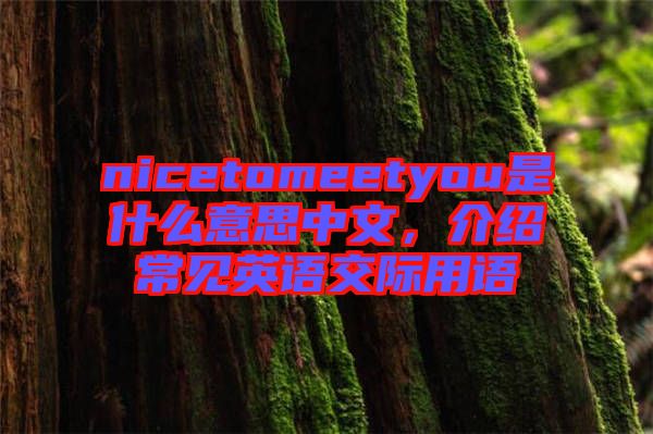 nicetomeetyou是什么意思中文，介紹常見英語(yǔ)交際用語(yǔ)