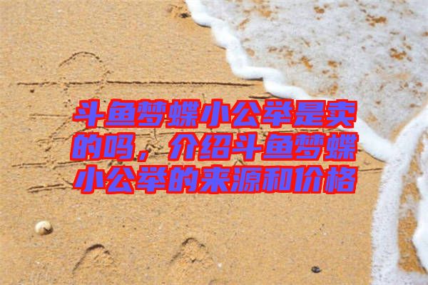 斗魚夢蝶小公舉是賣的嗎，介紹斗魚夢蝶小公舉的來源和價格