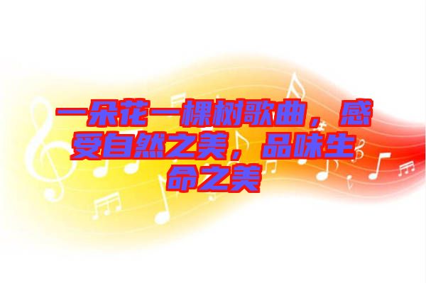 一朵花一棵樹歌曲，感受自然之美，品味生命之美