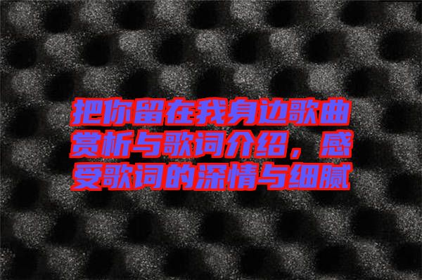 把你留在我身邊歌曲賞析與歌詞介紹，感受歌詞的深情與細膩