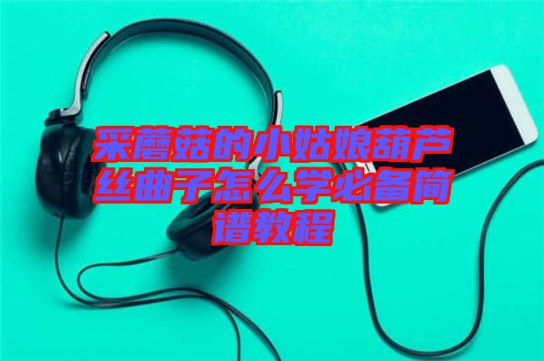 采蘑菇的小姑娘葫蘆絲曲子怎么學(xué)必備簡譜教程