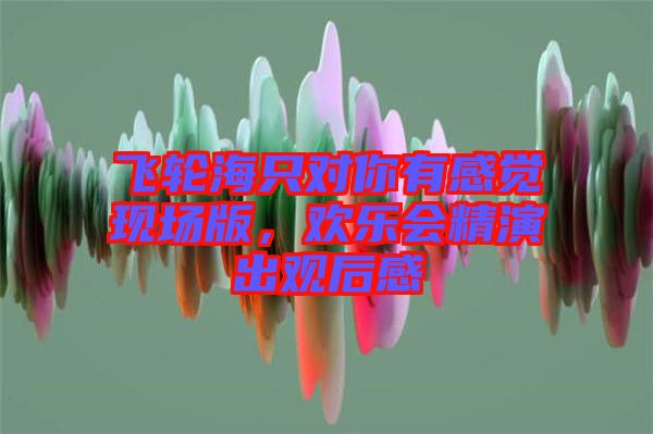 飛輪海只對(duì)你有感覺(jué)現(xiàn)場(chǎng)版，歡樂(lè)會(huì)精演出觀后感