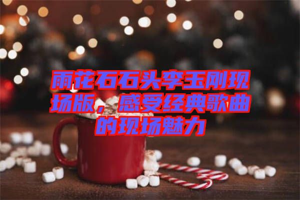 雨花石石頭李玉剛現(xiàn)場(chǎng)版，感受經(jīng)典歌曲的現(xiàn)場(chǎng)魅力