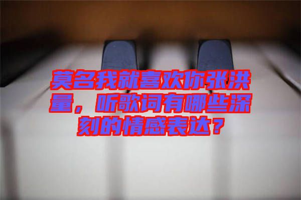 莫名我就喜歡你張洪量，聽歌詞有哪些深刻的情感表達？