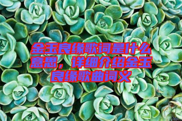 金玉良緣歌詞是什么意思，詳細介紹金玉良緣歌曲詞義