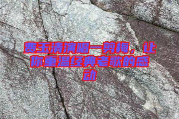 費玉清演唱一剪梅，讓你重溫經(jīng)典老歌的感動