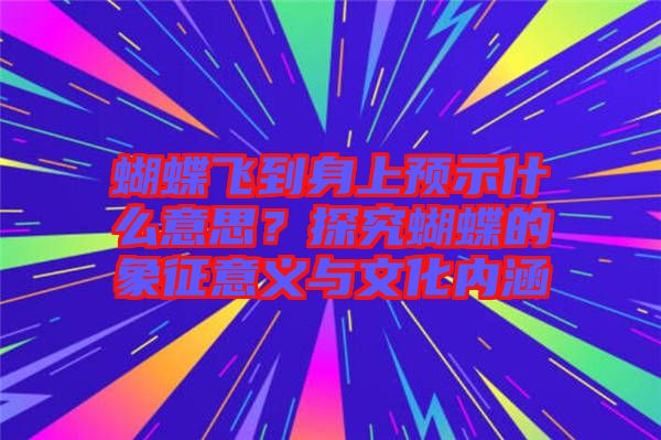 蝴蝶飛到身上預示什么意思？探究蝴蝶的象征意義與文化內(nèi)涵