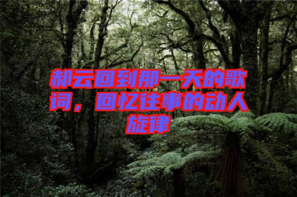 郝云回到那一天的歌詞，回憶往事的動人旋律