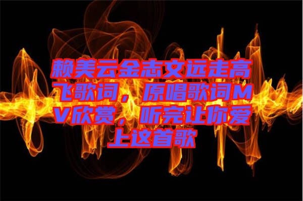 賴美云金志文遠(yuǎn)走高飛歌詞，原唱歌詞MV欣賞，聽完讓你愛上這首歌