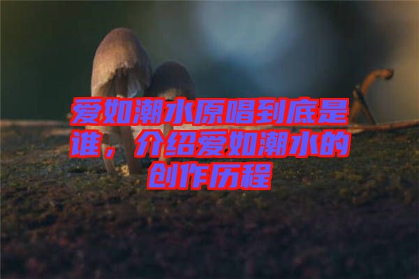 愛如潮水原唱到底是誰，介紹愛如潮水的創(chuàng)作歷程