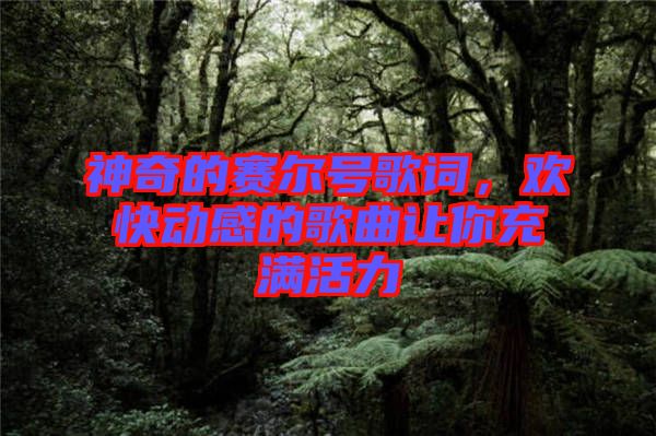 神奇的賽爾號(hào)歌詞，歡快動(dòng)感的歌曲讓你充滿活力