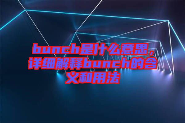 bunch是什么意思，詳細(xì)解釋bunch的含義和用法