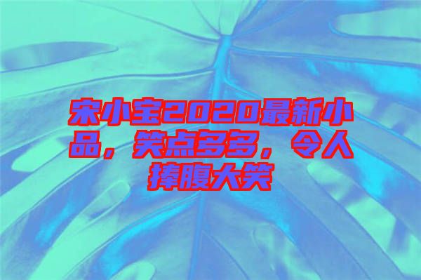 宋小寶2020最新小品，笑點(diǎn)多多，令人捧腹大笑