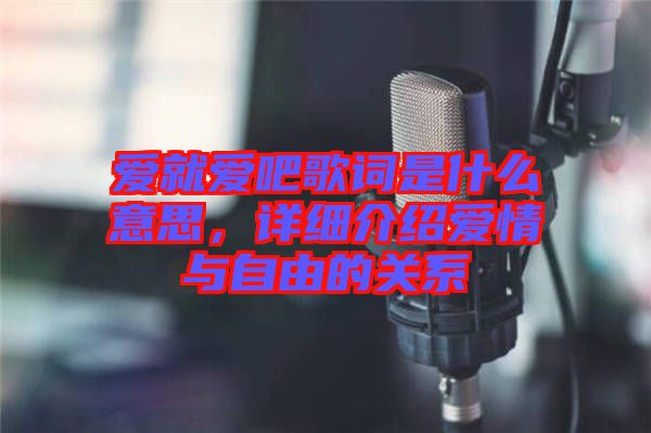 愛就愛吧歌詞是什么意思，詳細介紹愛情與自由的關(guān)系