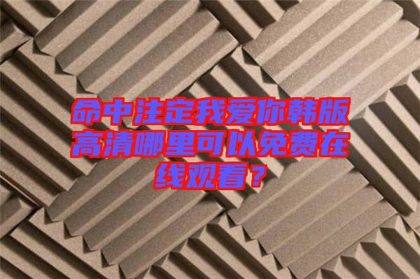 命中注定我愛(ài)你韓版高清哪里可以免費(fèi)在線觀看？