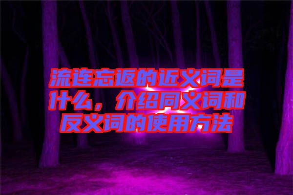 流連忘返的近義詞是什么，介紹同義詞和反義詞的使用方法