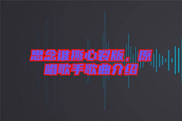 思念誰撕心裂版，原唱歌手歌曲介紹