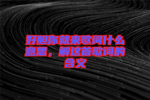 好膽你就來歌詞什么意思，解這首歌詞的含義